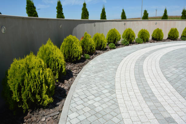 Best Custom Driveway Pavers  in North Tustin, CA